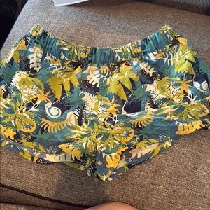 Patagonia Blue and Green Athletic Shorts for Active Comfort